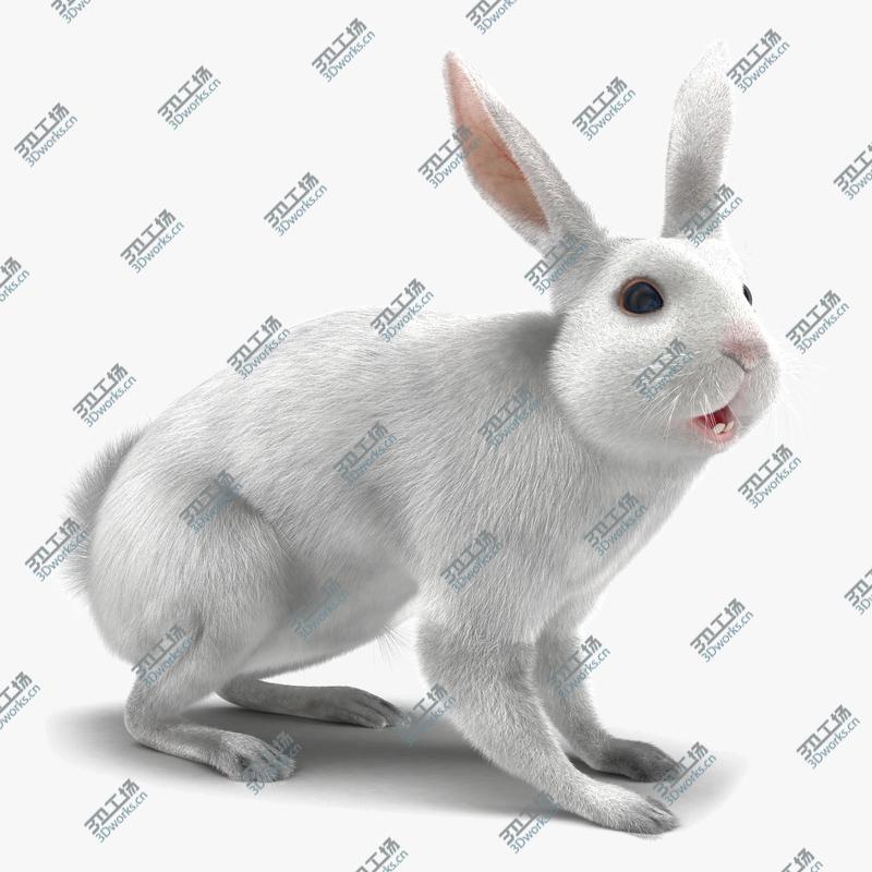 images/goods_img/2021040165/White Rabbit Rigged/1.jpg